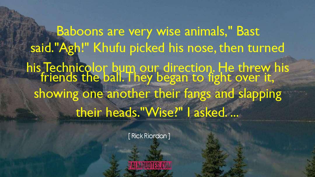 Very Wise And Funny quotes by Rick Riordan