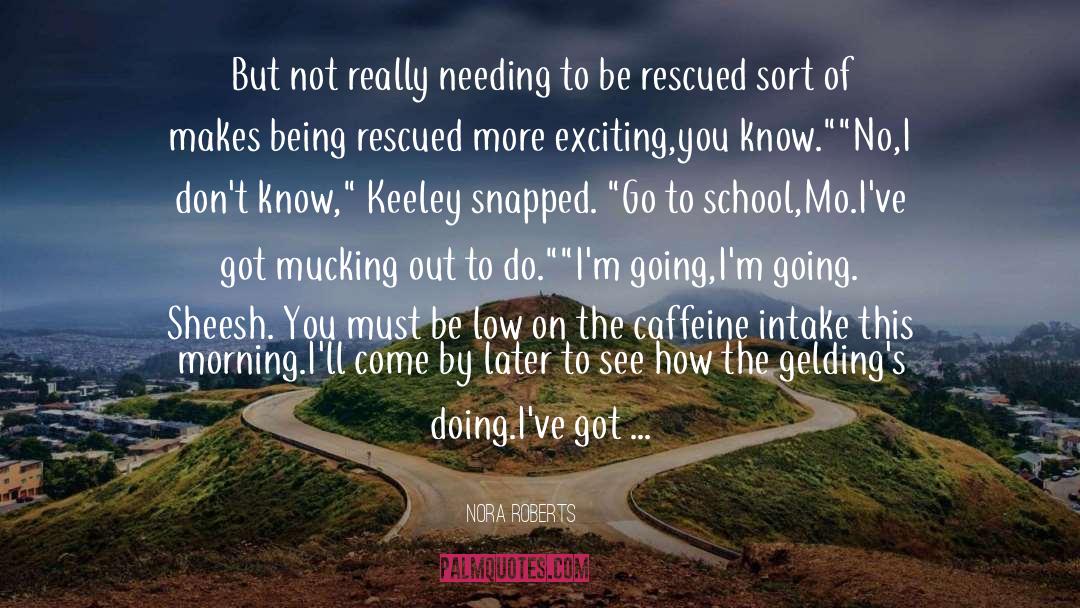 Vested Interest quotes by Nora Roberts