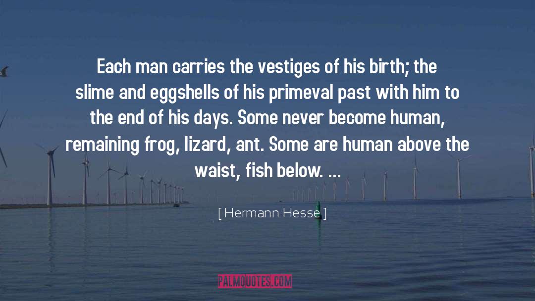 Vestiges quotes by Hermann Hesse