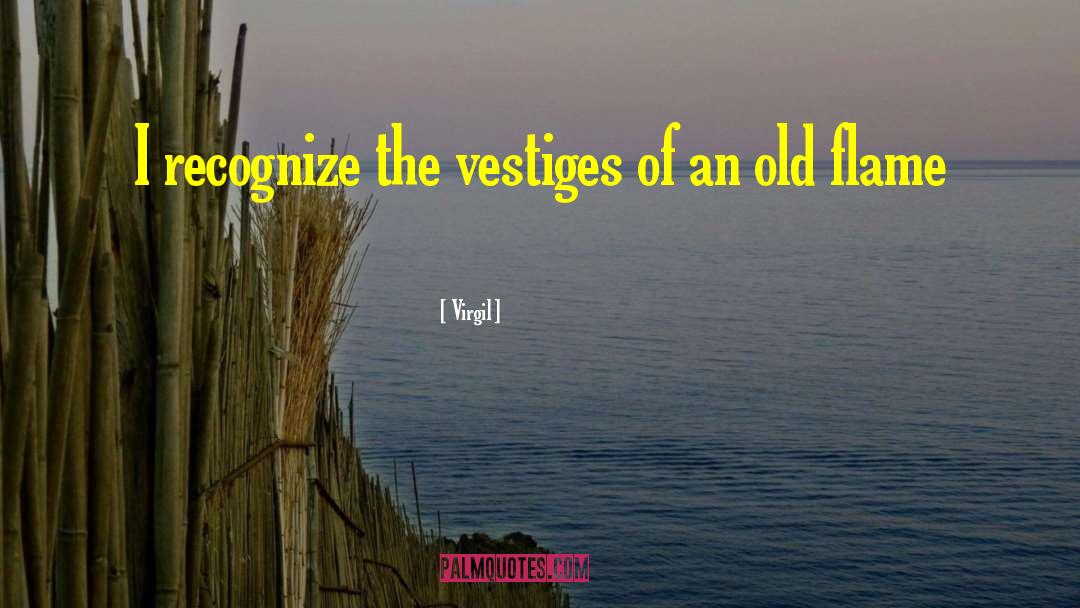 Vestiges quotes by Virgil