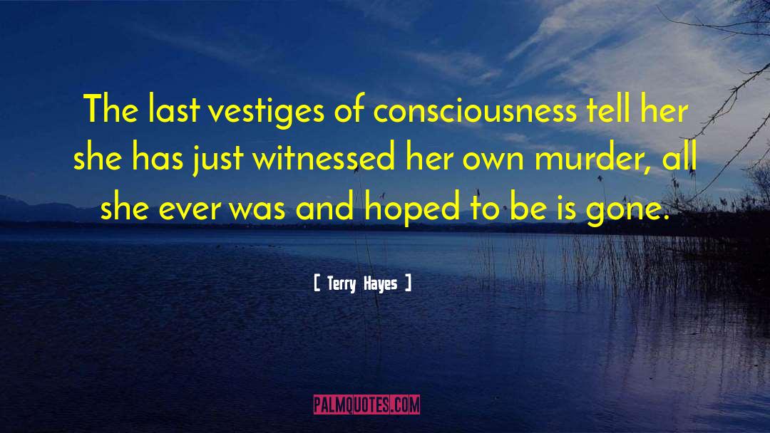 Vestiges quotes by Terry Hayes