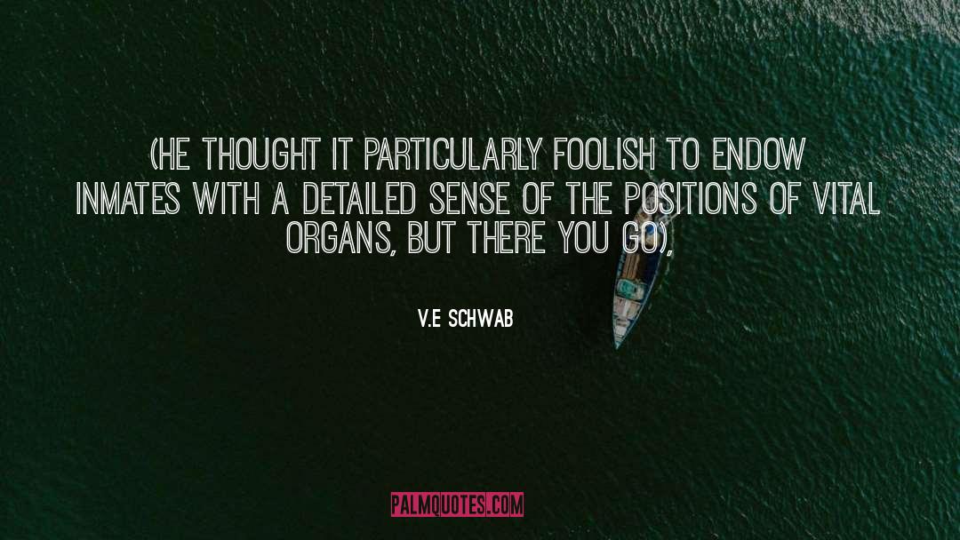 Vestigial Organs quotes by V.E Schwab