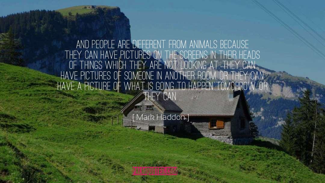 Vet quotes by Mark Haddon