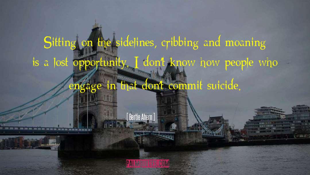 Veteran Suicide quotes by Bertie Ahern