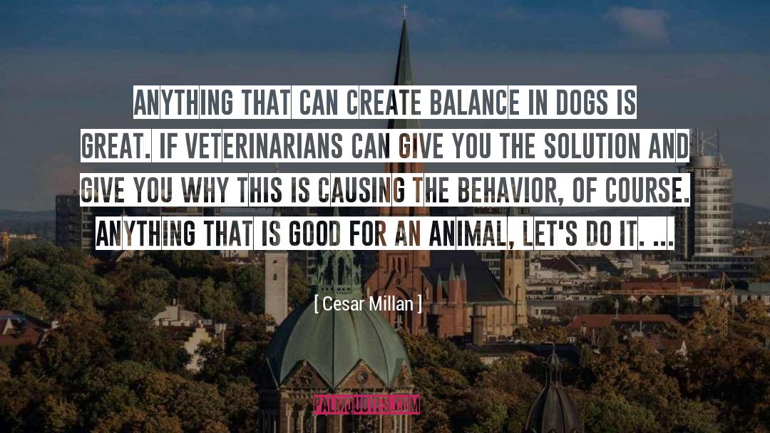 Veterinarians quotes by Cesar Millan