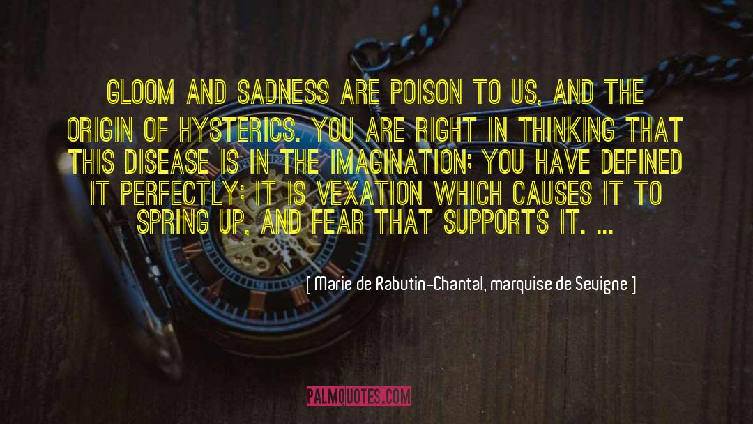 Vexation quotes by Marie De Rabutin-Chantal, Marquise De Sevigne