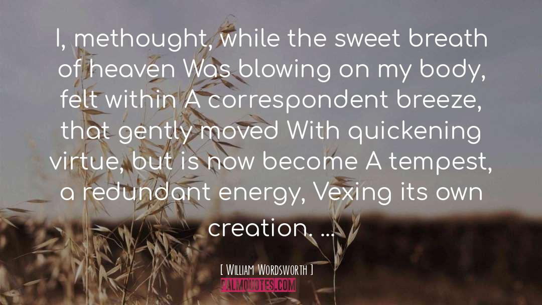 Vexing quotes by William Wordsworth