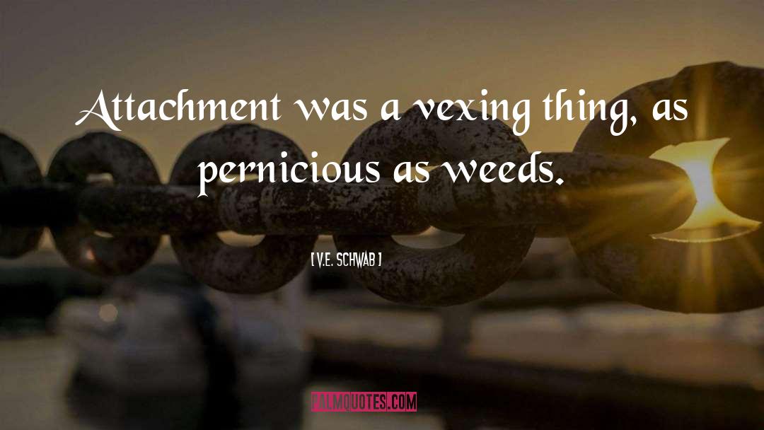 Vexing quotes by V.E. Schwab