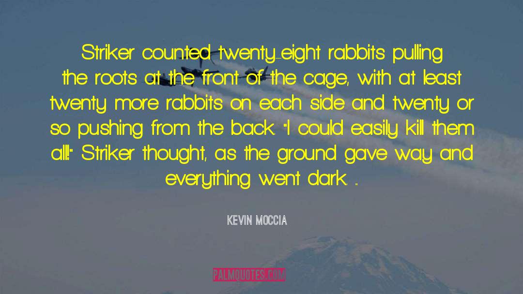 Vgel Rabbits quotes by Kevin Moccia