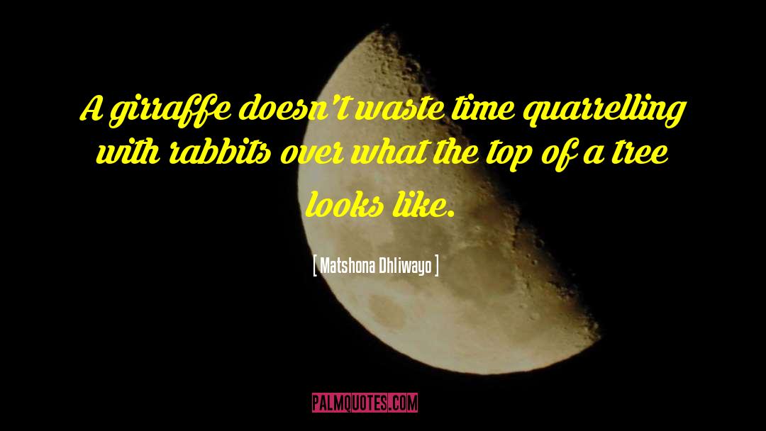 Vgel Rabbits quotes by Matshona Dhliwayo