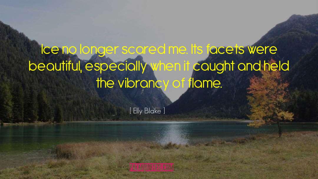 Vibrancy quotes by Elly Blake