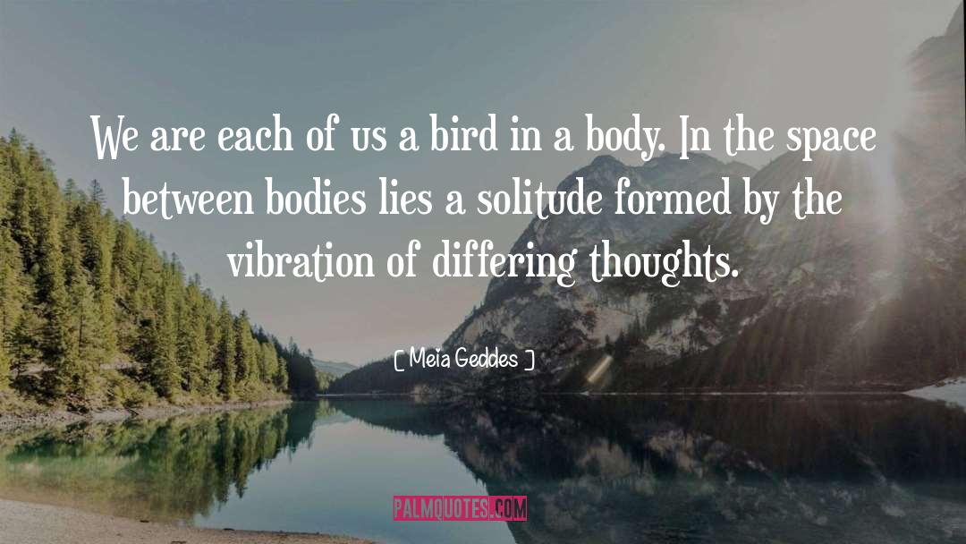 Vibration quotes by Meia Geddes