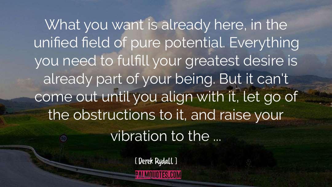 Vibration quotes by Derek Rydall