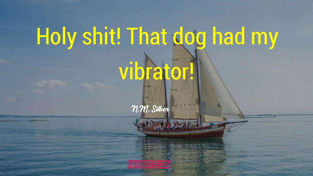 Vibrator quotes by N.M. Silber