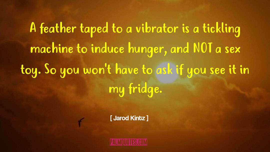 Vibrator quotes by Jarod Kintz