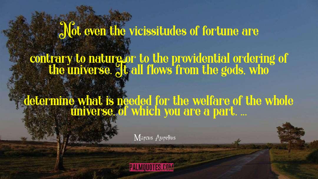 Vicissitudes quotes by Marcus Aurelius