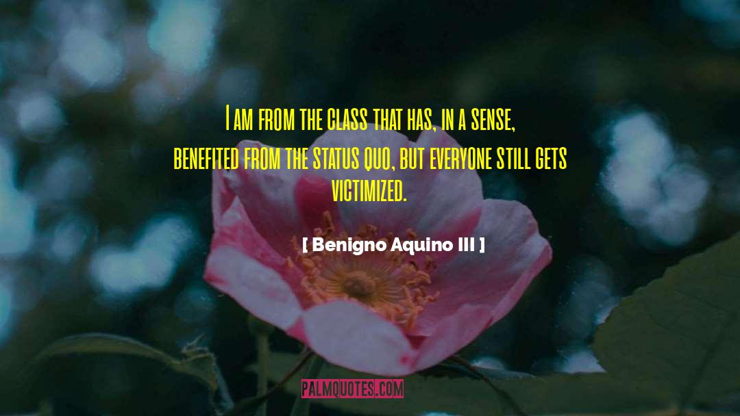 Victimized quotes by Benigno Aquino III