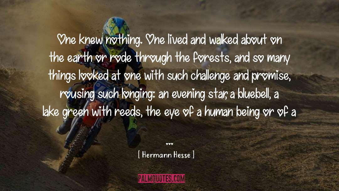 Victorious Star quotes by Hermann Hesse