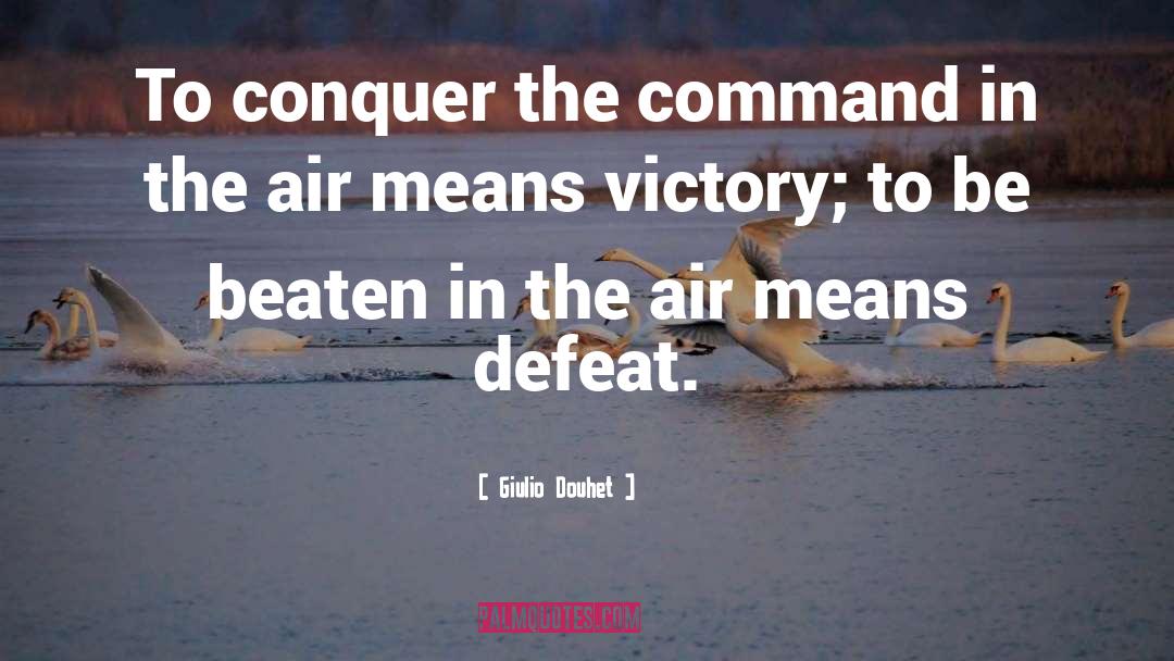 Victory Defeat quotes by Giulio Douhet