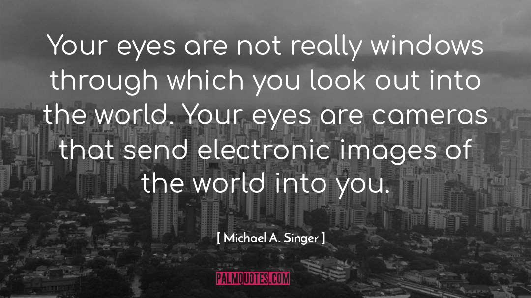 Video Cameras quotes by Michael A. Singer