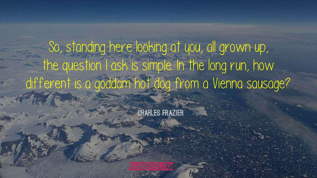 Vienna quotes by Charles Frazier