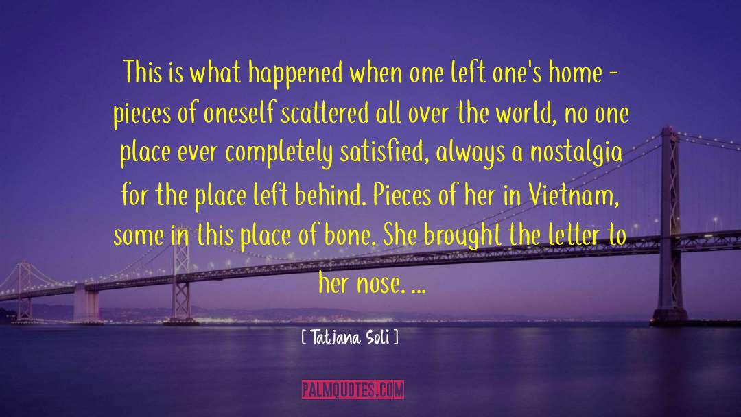 Vietnam Veteran quotes by Tatjana Soli