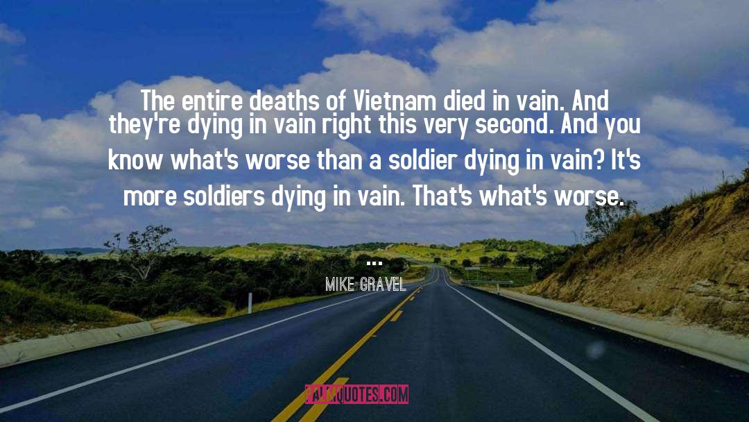Vietnam Vets quotes by Mike Gravel