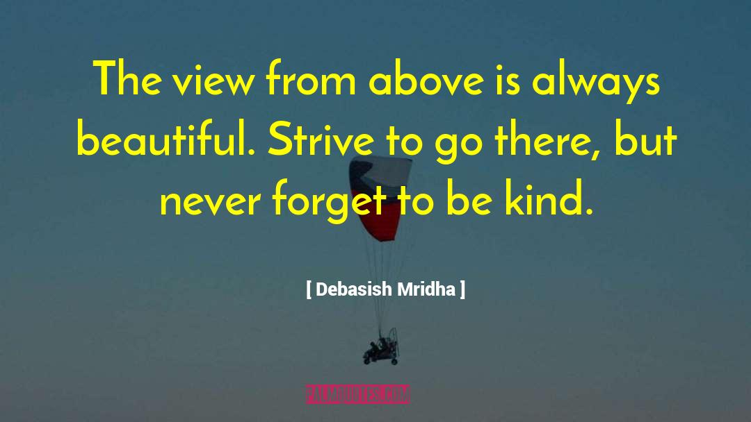 View From Above quotes by Debasish Mridha