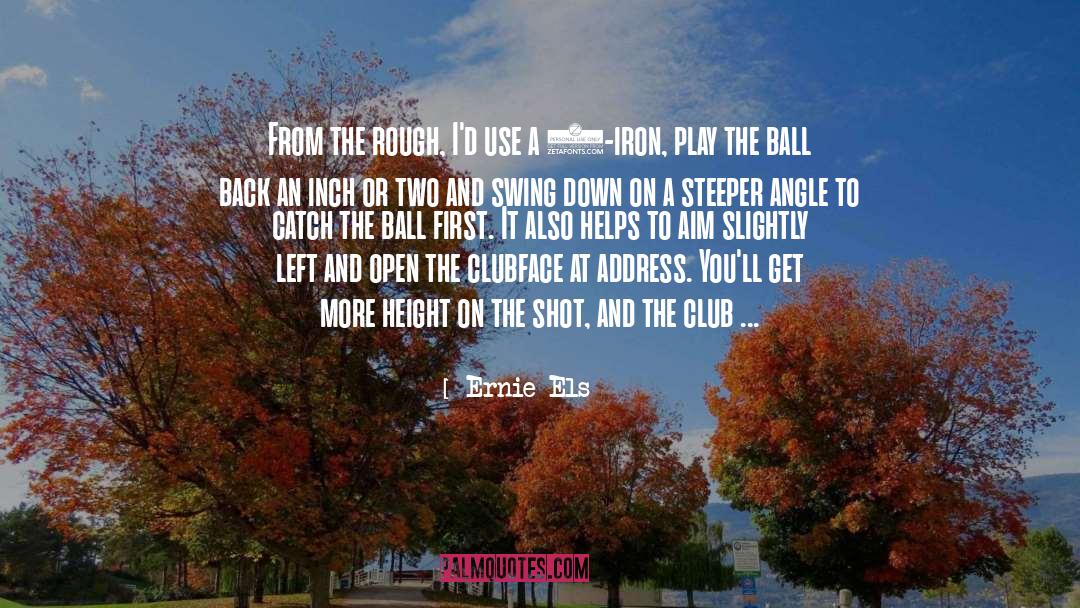 Viewing Angle quotes by Ernie Els