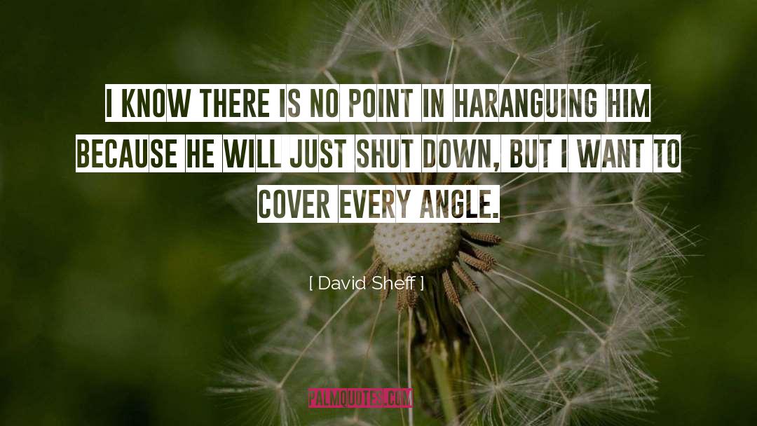 Viewing Angle quotes by David Sheff