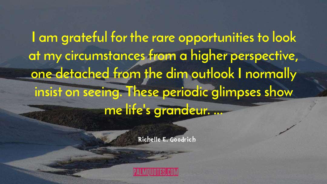 Viewpoint quotes by Richelle E. Goodrich
