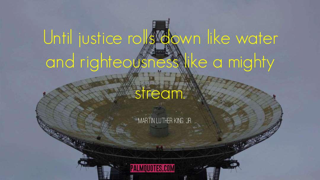 Vigilante Justice quotes by Martin Luther King, Jr.