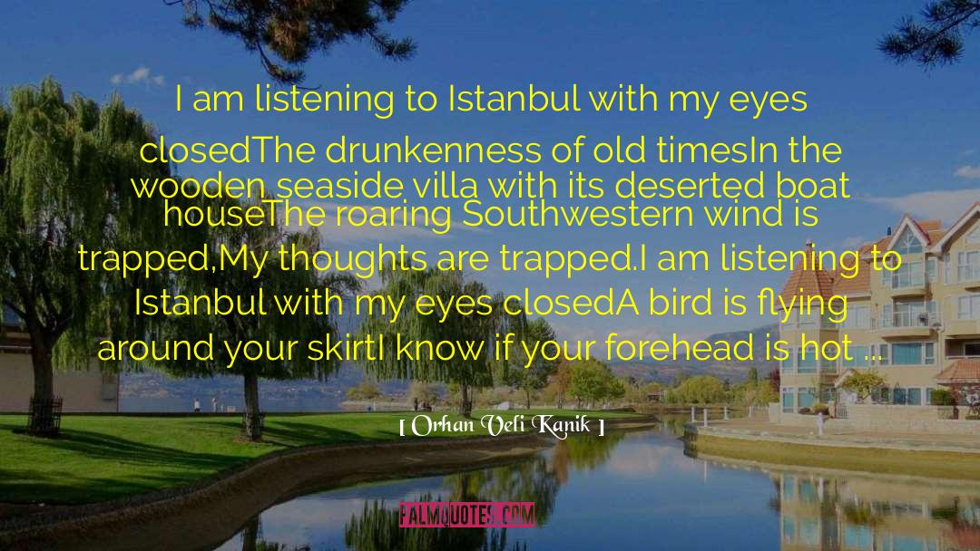 Villa quotes by Orhan Veli Kanik