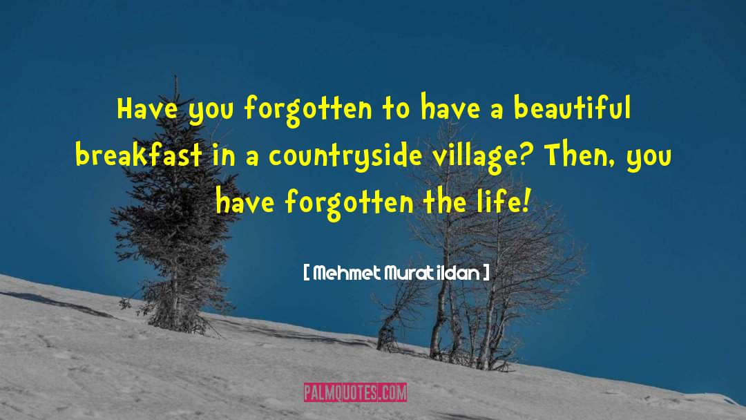 Village Life quotes by Mehmet Murat Ildan