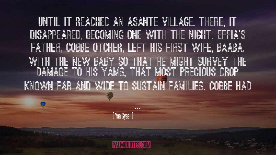 Village quotes by Yaa Gyasi