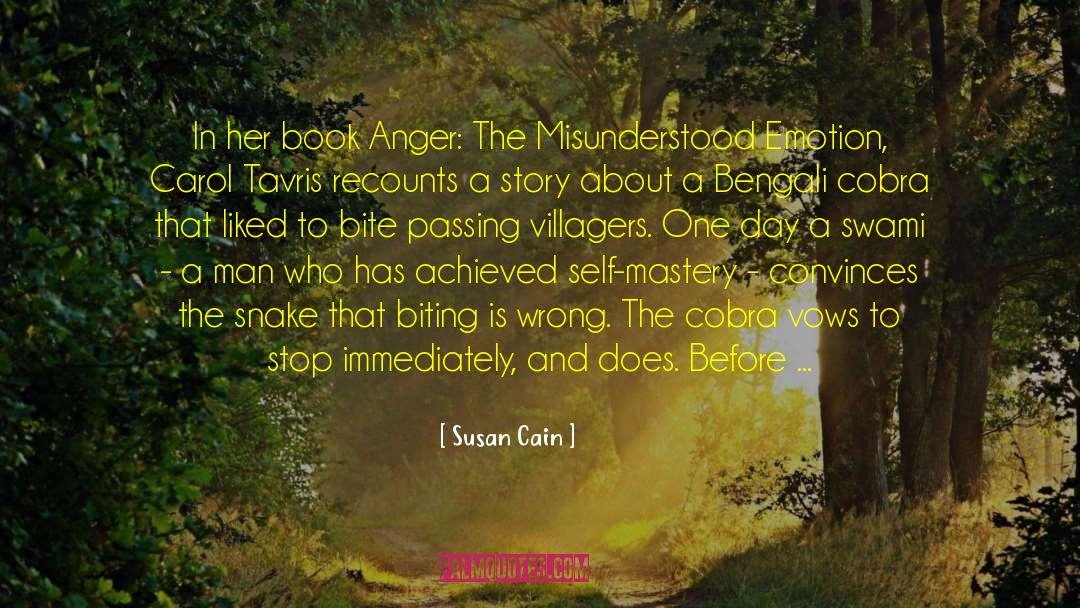 Villagers quotes by Susan Cain