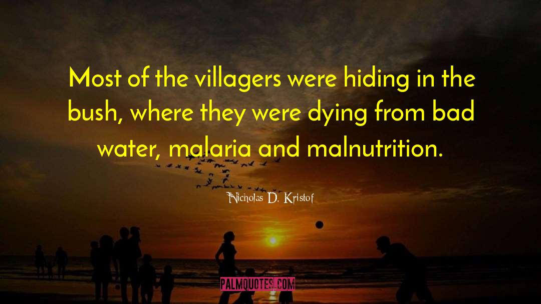 Villagers quotes by Nicholas D. Kristof