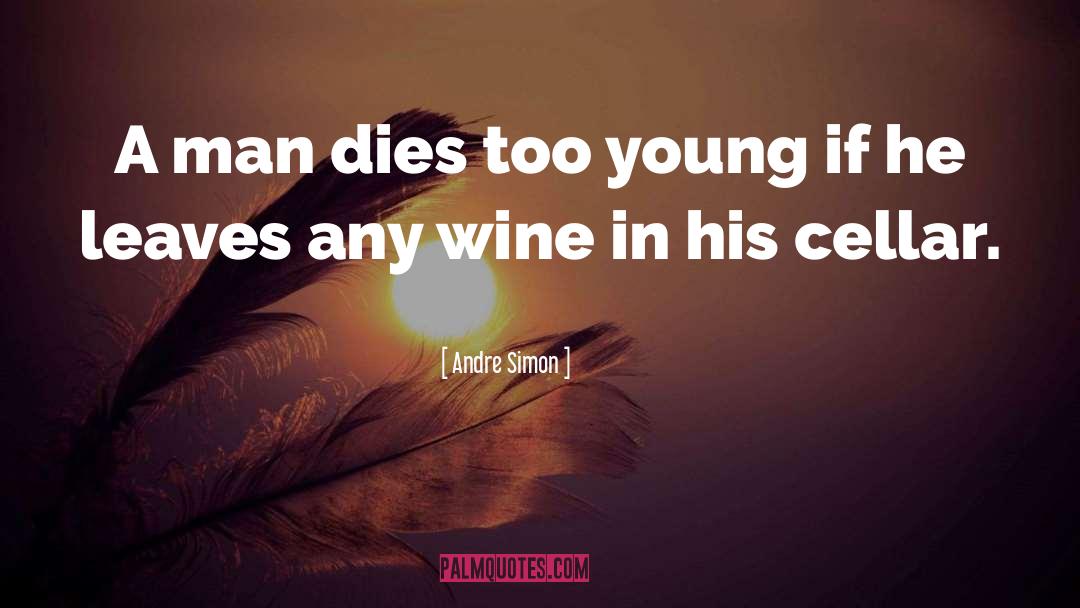 Vinatieri Wine quotes by Andre Simon