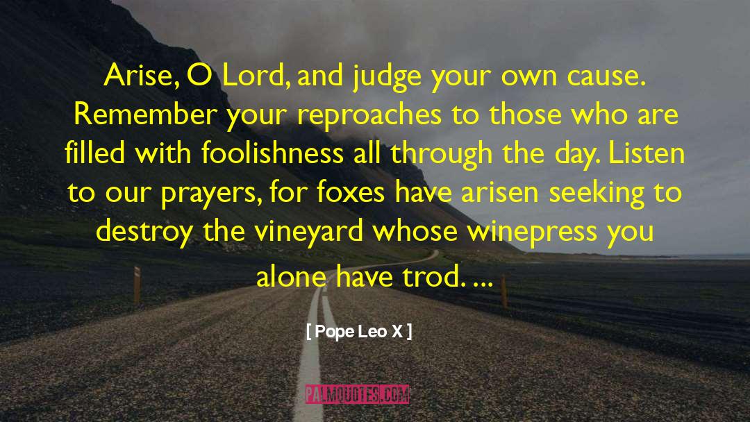 Vineyards quotes by Pope Leo X