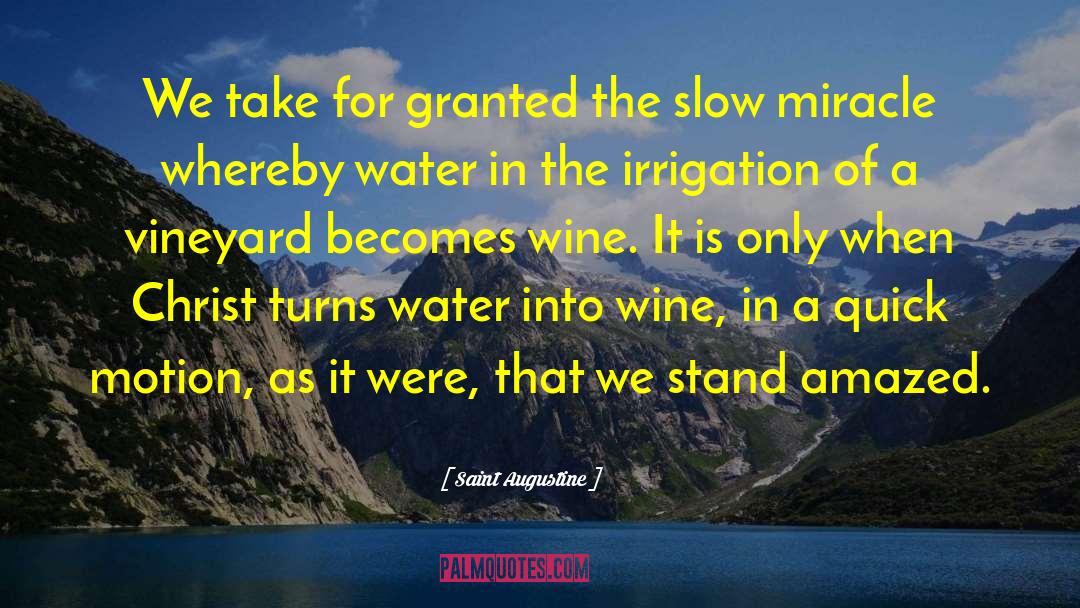 Vineyards quotes by Saint Augustine