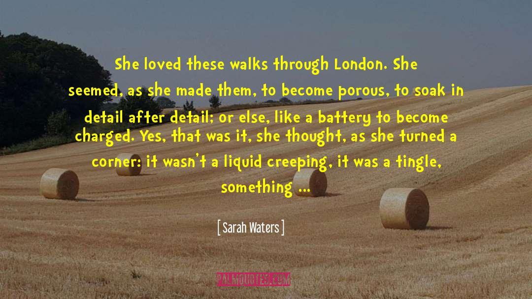 Vinimay Soak Off quotes by Sarah Waters