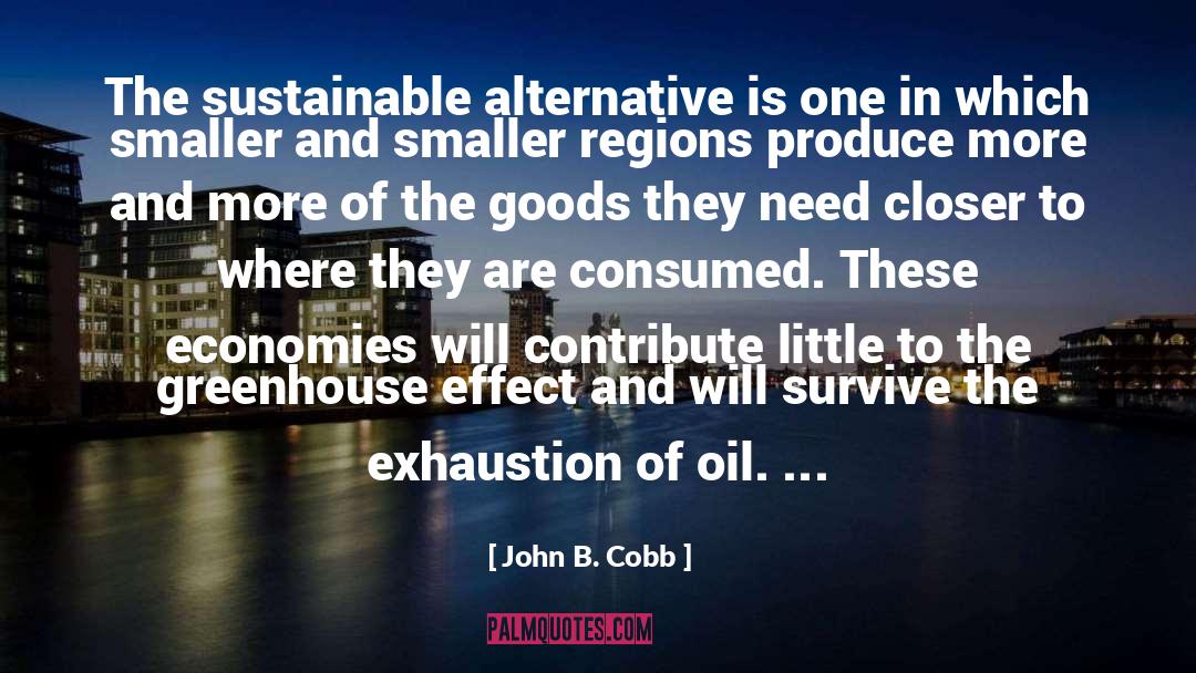 Vinnedge Environmental Consulting quotes by John B. Cobb
