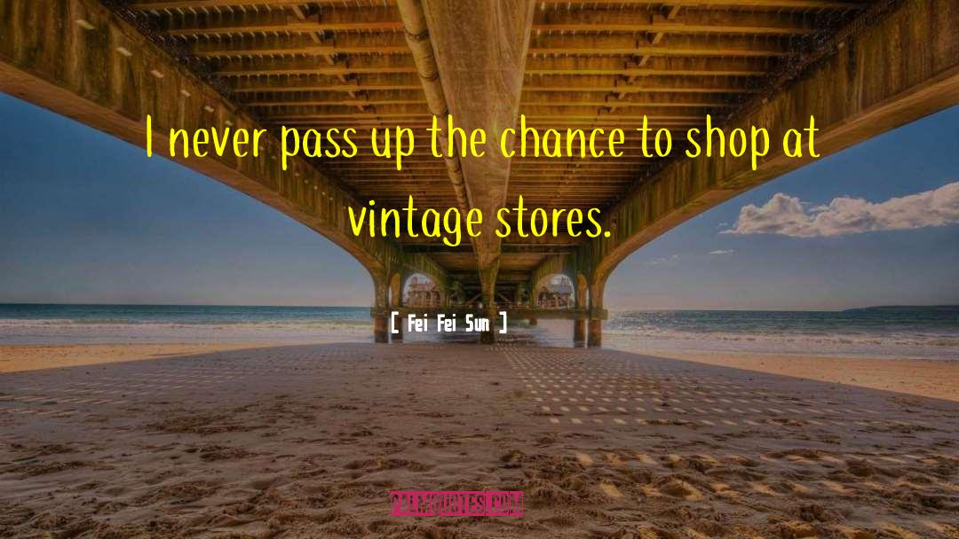Vintage Shopping quotes by Fei Fei Sun