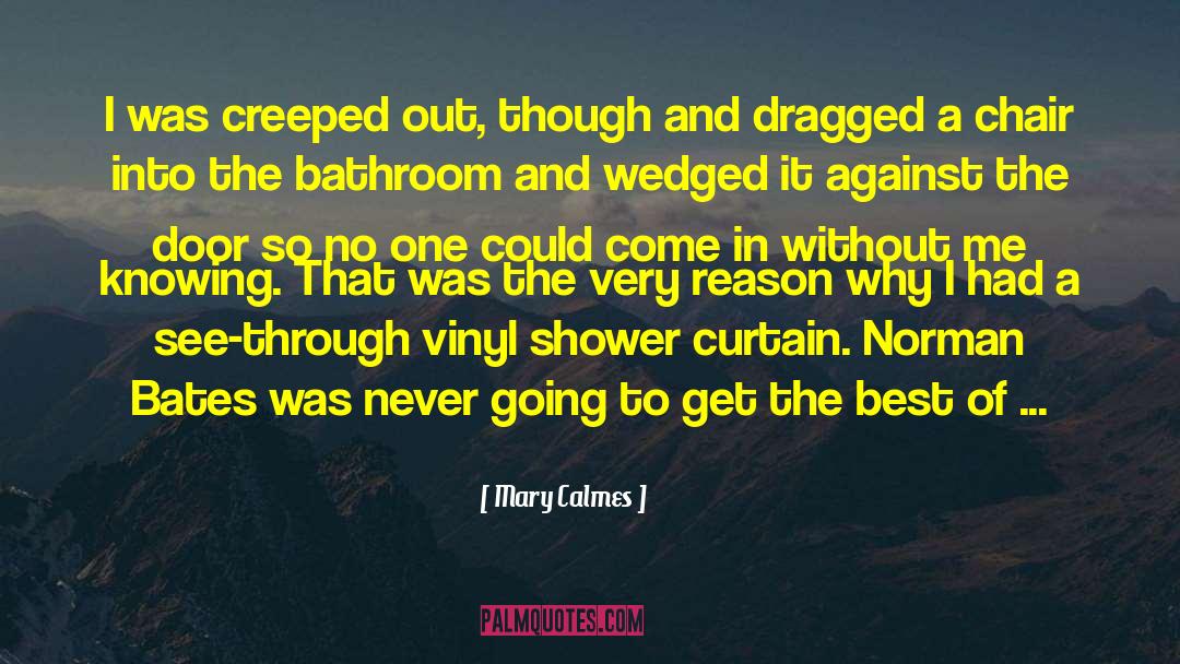 Vinyl Records quotes by Mary Calmes