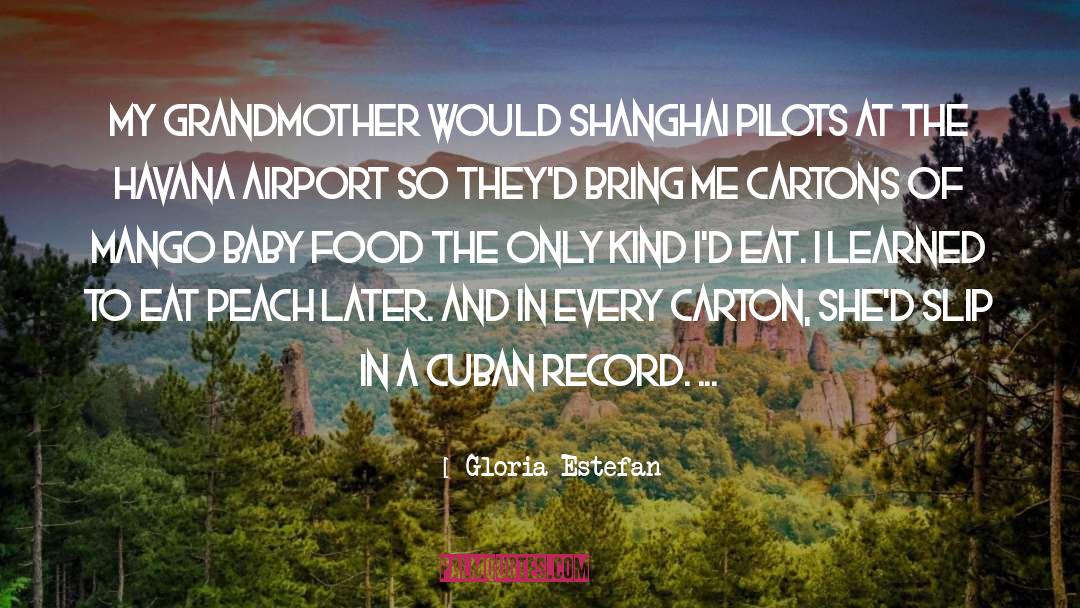 Vinyl Records quotes by Gloria Estefan
