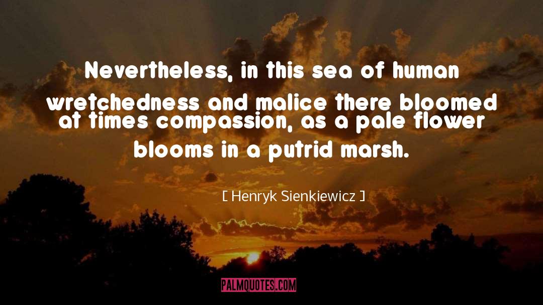 Violence And Cruelty quotes by Henryk Sienkiewicz