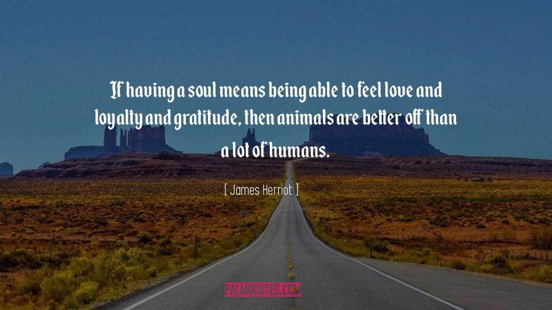 Violence And Humans quotes by James Herriot