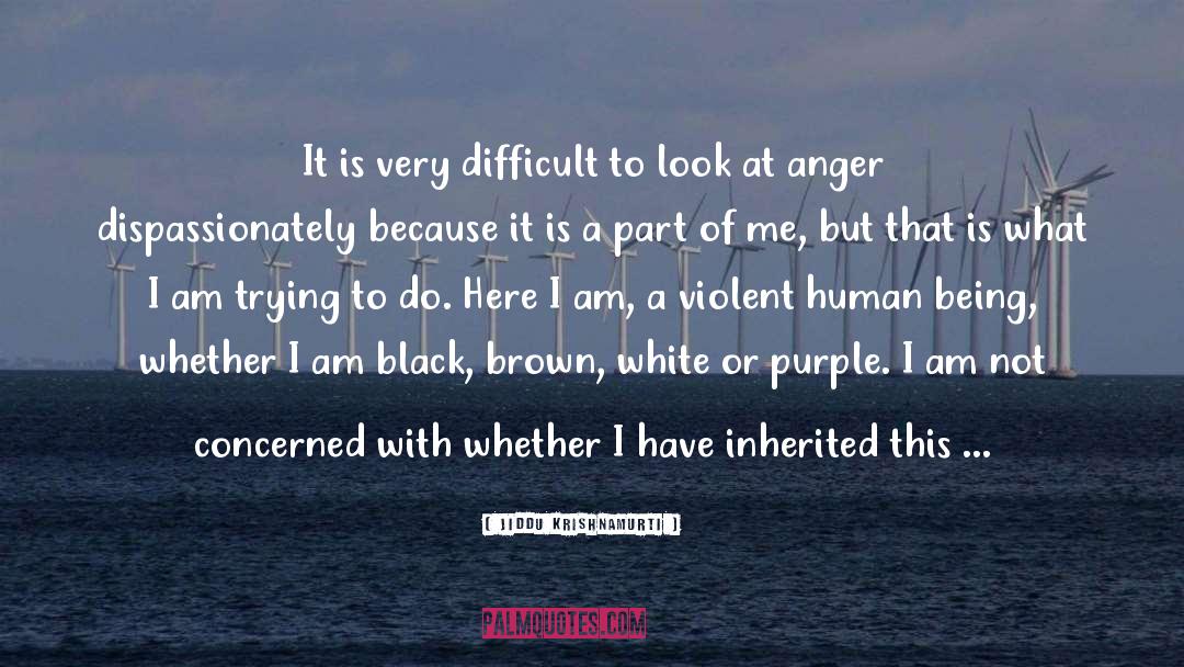 Violence Because Of Grief quotes by Jiddu Krishnamurti