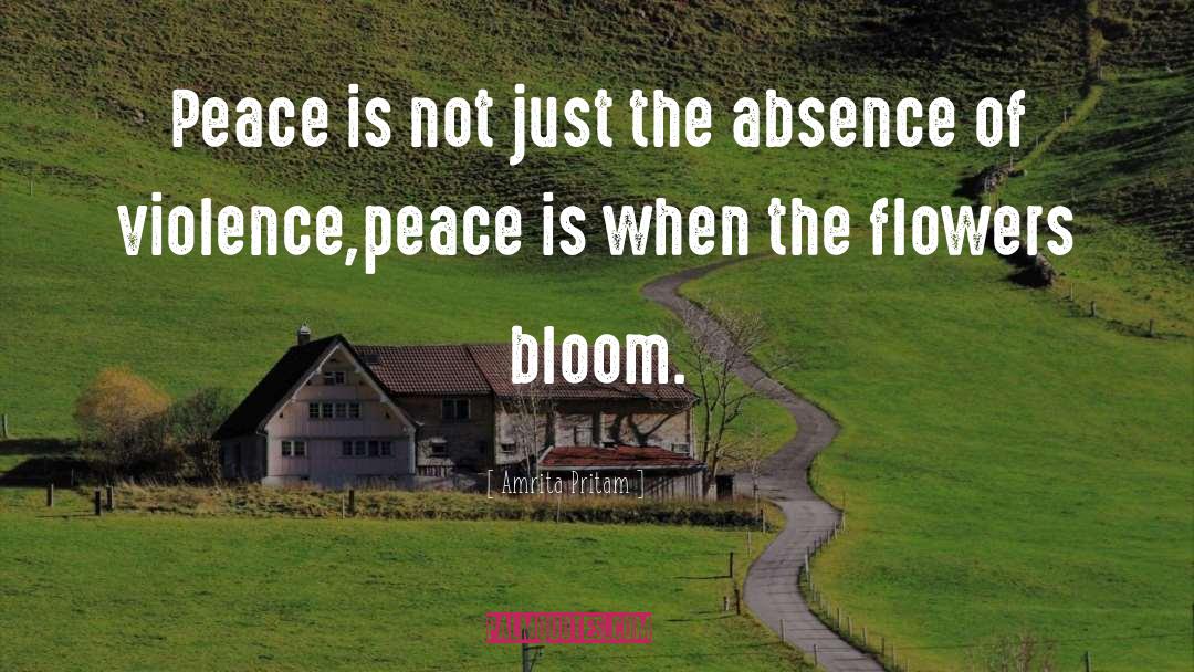 Violence Peace quotes by Amrita Pritam