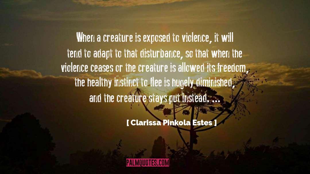 Violence quotes by Clarissa Pinkola Estes